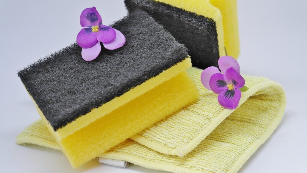 Eco friendly sponge